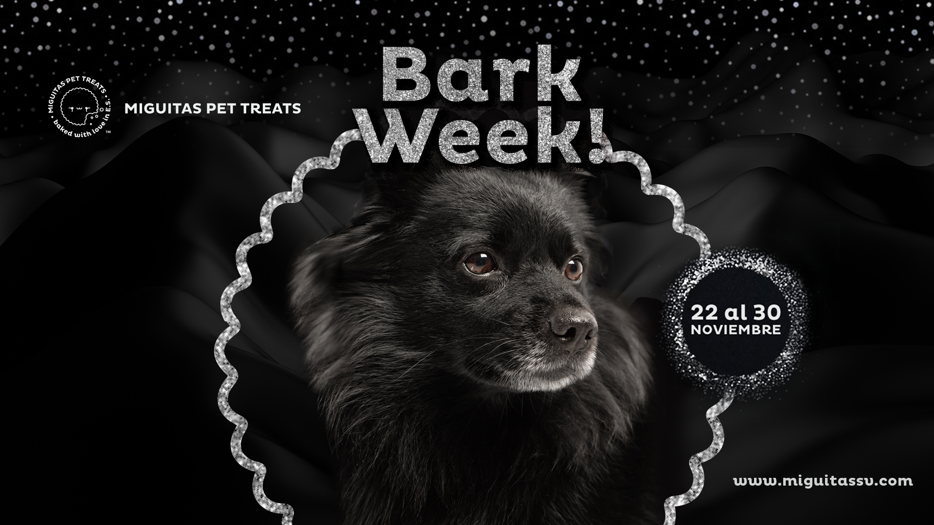 banner-web bark week 2022