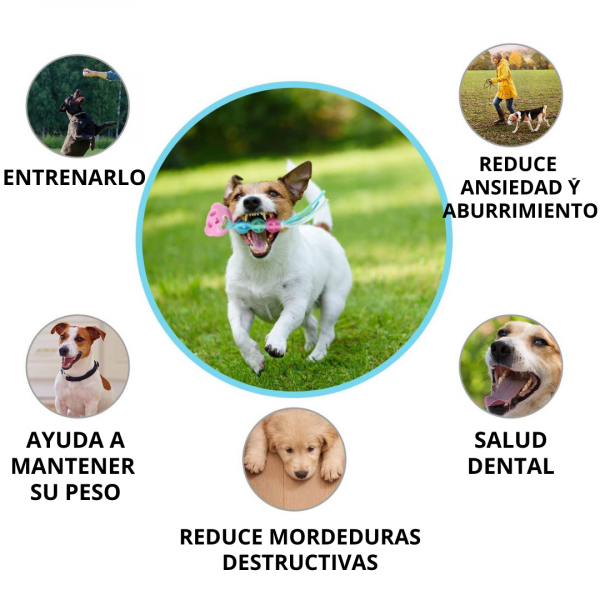 Juguetes masticables para discount perros