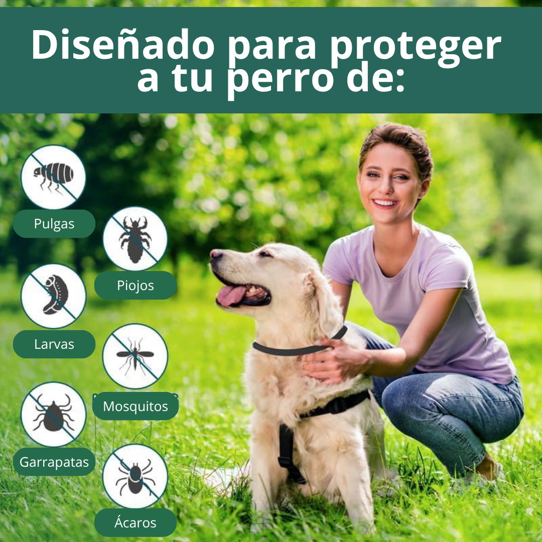 collar anti pulgas y garrapatas 4