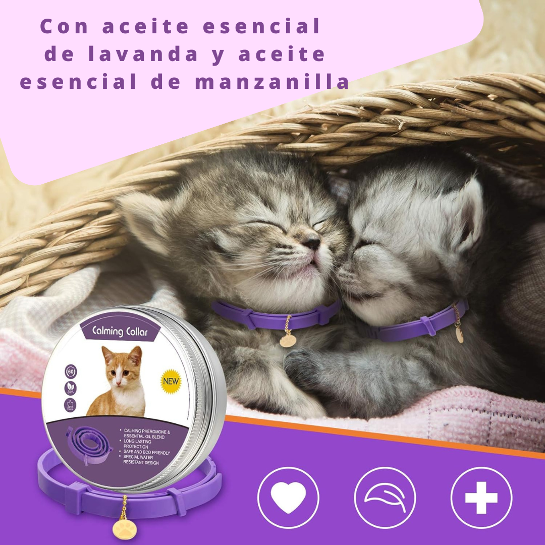 collar calmante gato 1